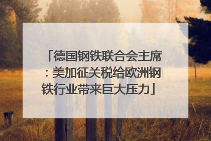 德国钢铁联合会主席：美加征关税给欧洲钢铁行业带来巨大压力