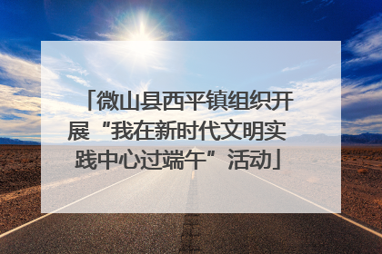 微山县西平镇组织开展“我在新时代文明实践中心过端午”活动