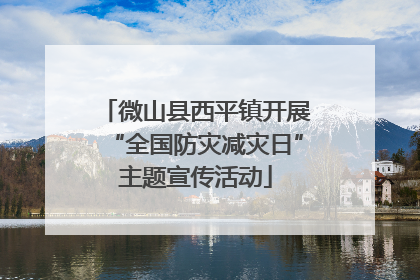 微山县西平镇开展“全国防灾减灾日”主题宣传活动