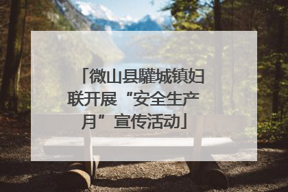 微山县驩城镇妇联开展“安全生产月”宣传活动
