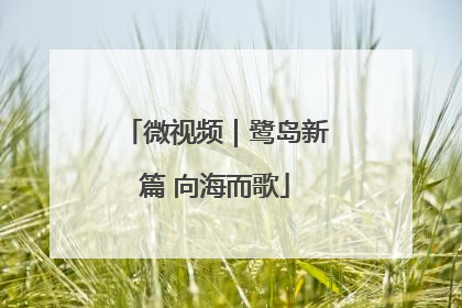 微视频｜鹭岛新篇 向海而歌
