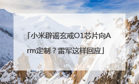 小米辟谣玄戒O1芯片向Arm定制？雷军这样回应