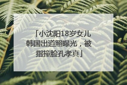 小沈阳18岁女儿韩国出道照曝光，被指撞脸孔孝真