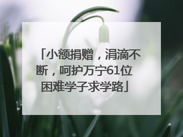 小额捐赠，涓滴不断，呵护万宁61位困难学子求学路