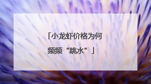 小龙虾价格为何频频“跳水”