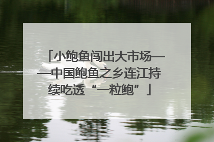 小鲍鱼闯出大市场——中国鲍鱼之乡连江持续吃透“一粒鲍”