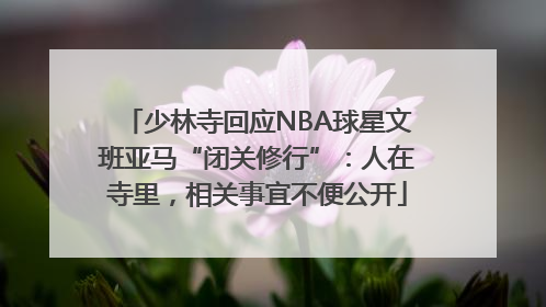 少林寺回应NBA球星文班亚马“闭关修行”：人在寺里，相关事宜不便公开