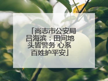 尚志市公安局吕海滨：田间地头皆警务 心系百姓护平安