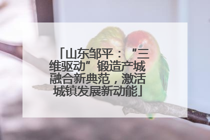 山东邹平：“三维驱动”锻造产城融合新典范，激活城镇发展新动能