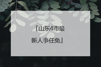 山东4市最新人事任免