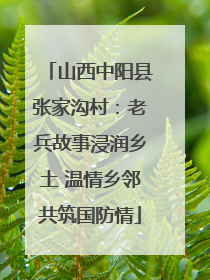 山西中阳县张家沟村：老兵故事浸润乡土 温情乡邻共筑国防情
