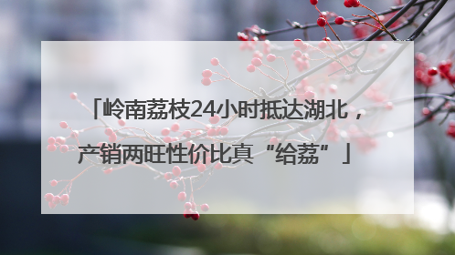岭南荔枝24小时抵达湖北，产销两旺性价比真“给荔”