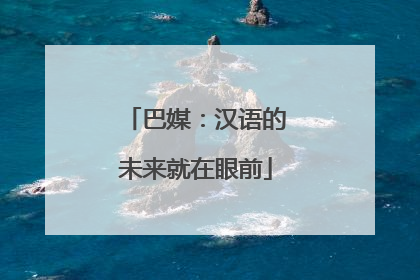 巴媒：汉语的未来就在眼前