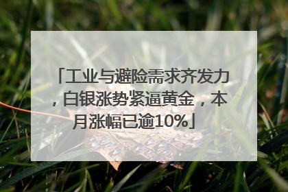 工业与避险需求齐发力，白银涨势紧逼黄金，本月涨幅已逾10%