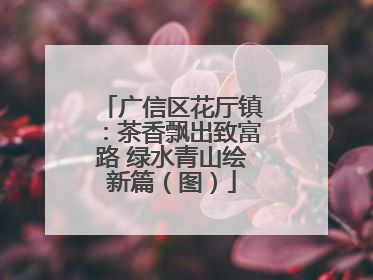 广信区花厅镇：茶香飘出致富路 绿水青山绘新篇（图）