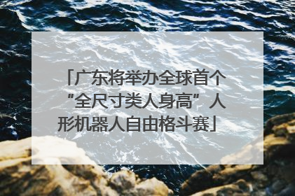 广东将举办全球首个“全尺寸类人身高”人形机器人自由格斗赛