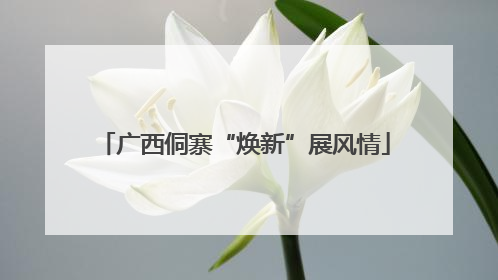 广西侗寨“焕新”展风情