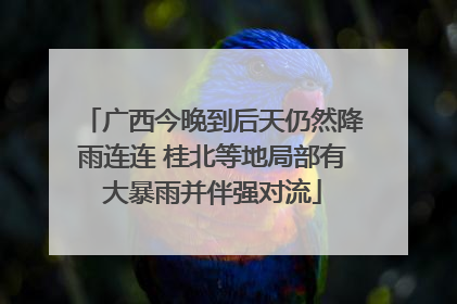 广西今晚到后天仍然降雨连连 桂北等地局部有大暴雨并伴强对流