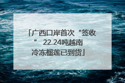 广西口岸首次“签收” 22.24吨越南冷冻榴莲已到货