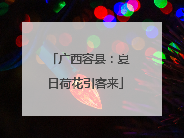 广西容县：夏日荷花引客来
