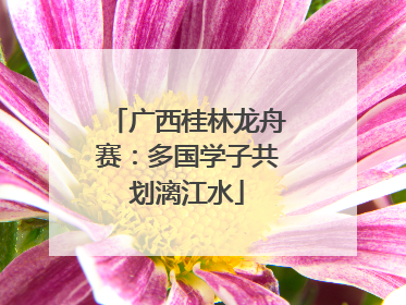 广西桂林龙舟赛：多国学子共划漓江水