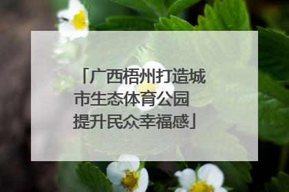 广西梧州打造城市生态体育公园 提升民众幸福感