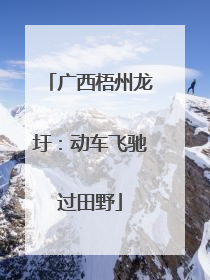 广西梧州龙圩：动车飞驰过田野