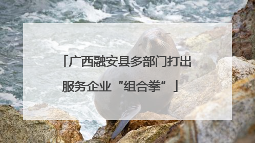 广西融安县多部门打出服务企业“组合拳”