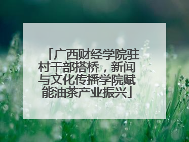 广西财经学院驻村干部搭桥，新闻与文化传播学院赋能油茶产业振兴