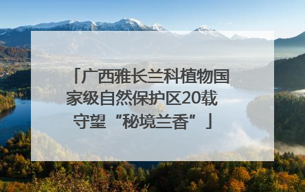 广西雅长兰科植物国家级自然保护区20载守望“秘境兰香”
