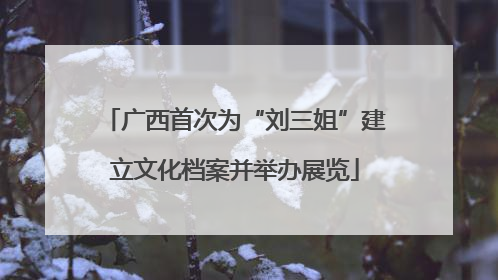 广西首次为“刘三姐”建立文化档案并举办展览