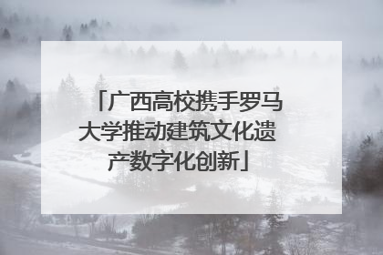 广西高校携手罗马大学推动建筑文化遗产数字化创新
