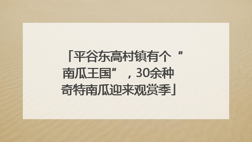 平谷东高村镇有个“南瓜王国”，30余种奇特南瓜迎来观赏季