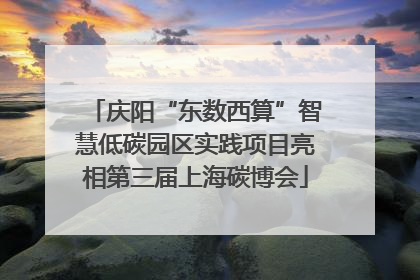 庆阳“东数西算”智慧低碳园区实践项目亮相第三届上海碳博会