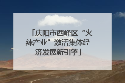 庆阳市西峰区“火辣产业”激活集体经济发展新引擎