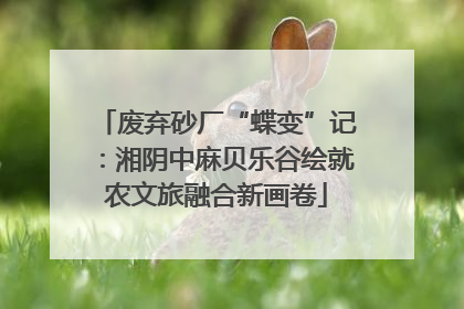 废弃砂厂“蝶变”记：湘阴中麻贝乐谷绘就农文旅融合新画卷