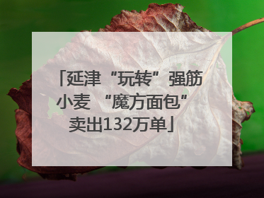 延津“玩转”强筋小麦 “魔方面包”卖出132万单