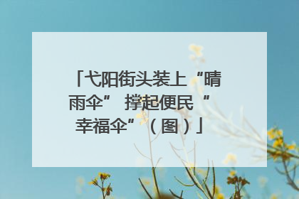 弋阳街头装上“晴雨伞” 撑起便民“幸福伞”（图）