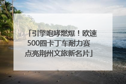 引擎咆哮燃爆！欧速500圈卡丁车耐力赛点亮荆州文旅新名片