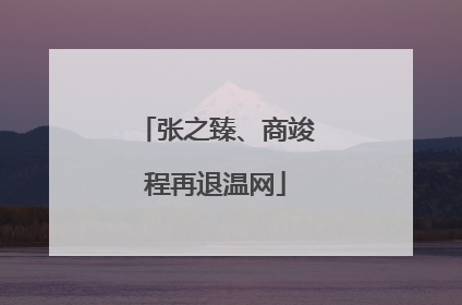 张之臻、商竣程再退温网