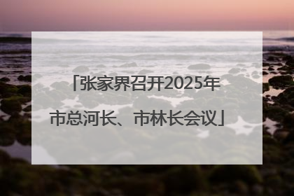 张家界召开2025年市总河长、市林长会议