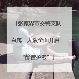 张家界市交警支队直属二大队全面开启“静音护考”