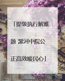 提级执行解难题 漯河中院公正高效暖民心