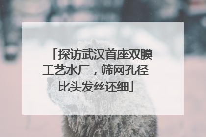 探访武汉首座双膜工艺水厂，筛网孔径比头发丝还细