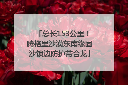 总长153公里！腾格里沙漠东南缘固沙锁边防护带合龙