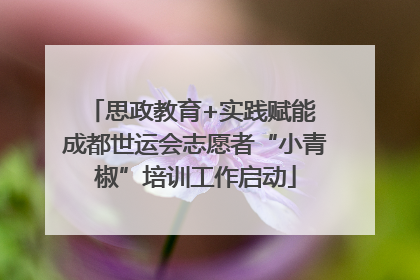 思政教育+实践赋能 成都世运会志愿者“小青椒”培训工作启动