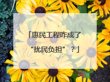 惠民工程咋成了“扰民负担”？