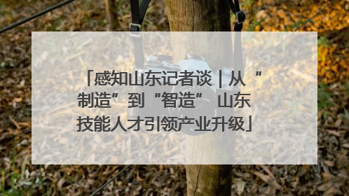 感知山东记者谈｜从“制造”到“智造” 山东技能人才引领产业升级