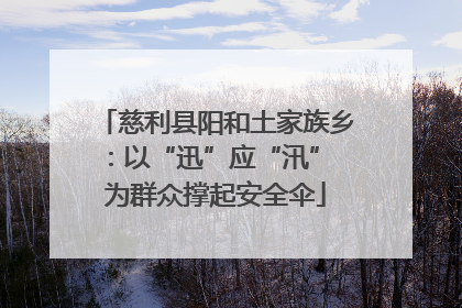 慈利县阳和土家族乡：以“迅”应“汛” 为群众撑起安全伞
