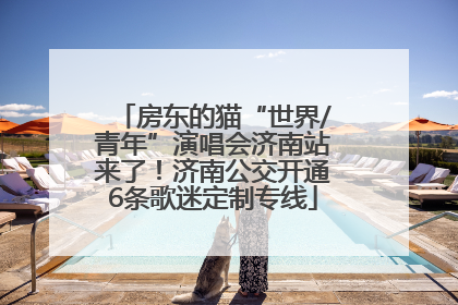 房东的猫“世界/青年”演唱会济南站来了！济南公交开通6条歌迷定制专线